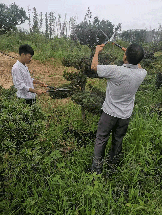 &#20048;&#40060;&#25163;&#26426;&#31449;&#20837;&#21475;&#45;&#20048;&#40060;&#111;&#110;&#108;&#105;&#110;&#101;&#40;&#20013;&#22269;&#41;