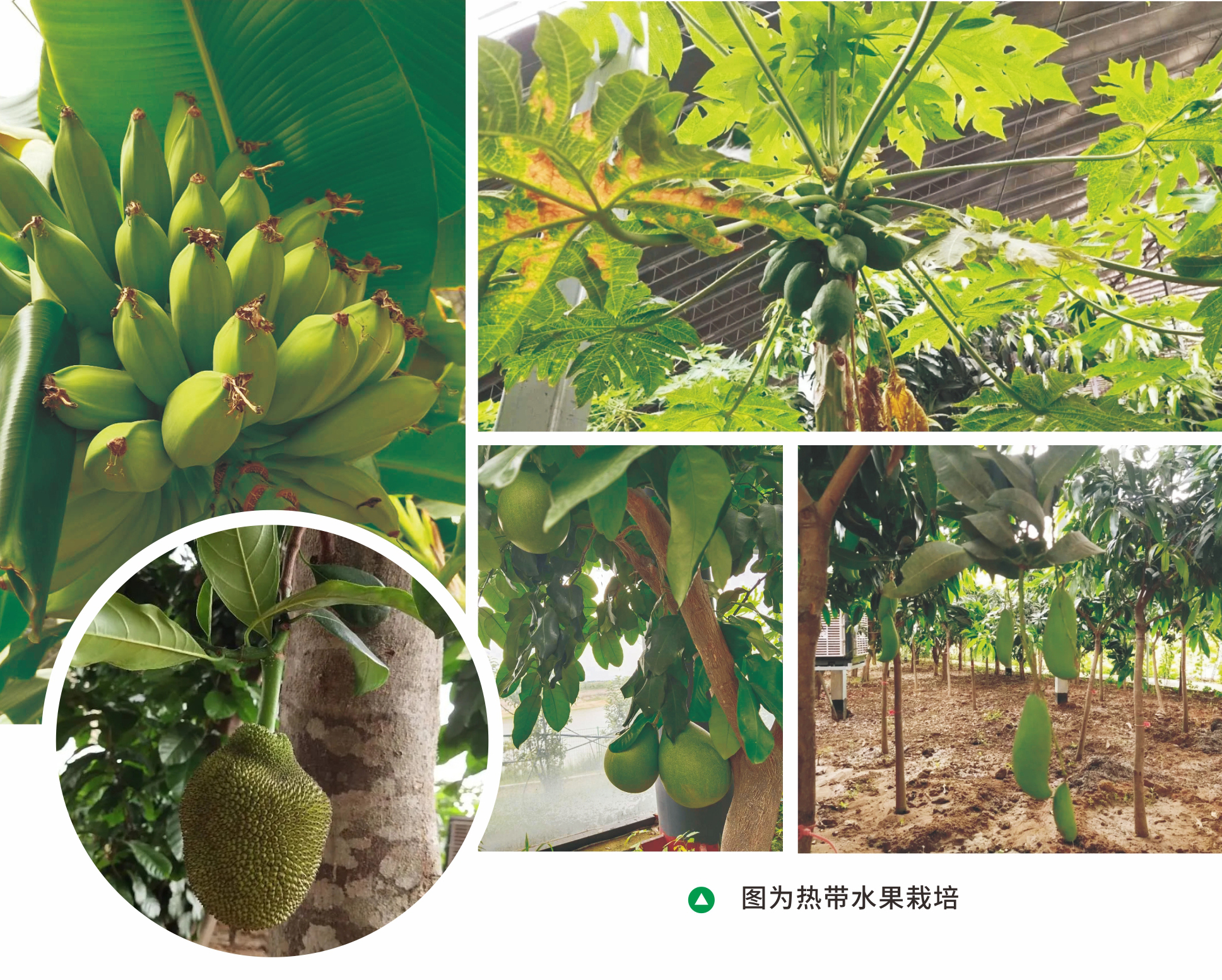 &#20048;&#40060;&#25163;&#26426;&#31449;&#20837;&#21475;&#45;&#20048;&#40060;&#111;&#110;&#108;&#105;&#110;&#101;&#40;&#20013;&#22269;&#41;